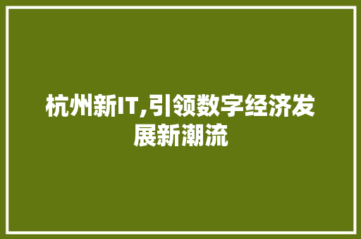 杭州新IT,引领数字经济发展新潮流 神马SEO