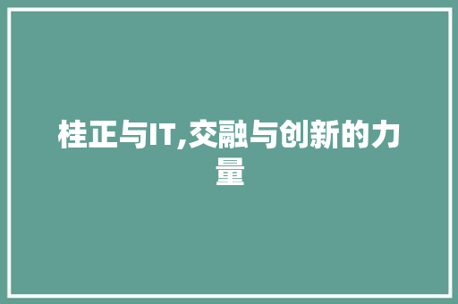 桂正与IT,交融与创新的力量 GoogleSEO