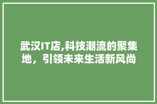 武汉IT店,科技潮流的聚集地，引领未来生活新风尚