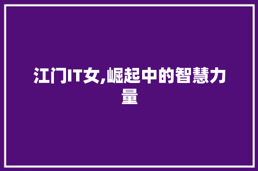 江门IT女,崛起中的智慧力量 GoogleSEO