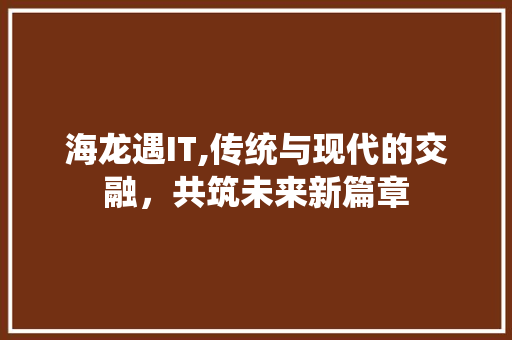 海龙遇IT,传统与现代的交融，共筑未来新篇章