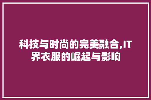 科技与时尚的完美融合,IT界衣服的崛起与影响 必应SEO