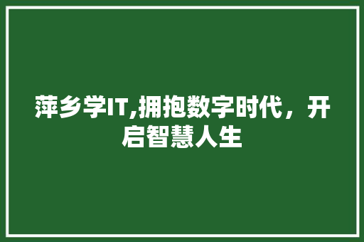 萍乡学IT,拥抱数字时代，开启智慧人生 GoogleSEO
