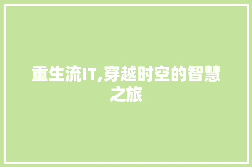 重生流IT,穿越时空的智慧之旅 百度SEO