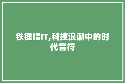 铁锤唱IT,科技浪潮中的时代音符 百度SEO