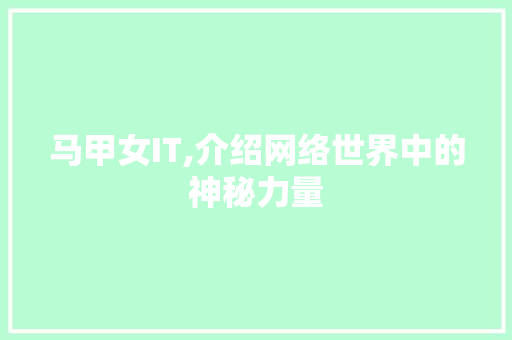 马甲女IT,介绍网络世界中的神秘力量 百度SEO