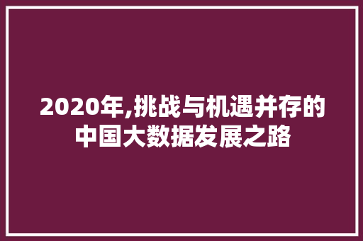 2020年,挑战与机遇并存的中国大数据发展之路