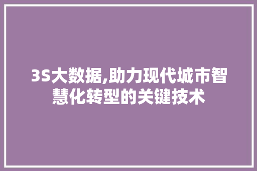 3S大数据,助力现代城市智慧化转型的关键技术 神马SEO