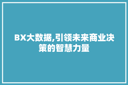 BX大数据,引领未来商业决策的智慧力量 神马SEO