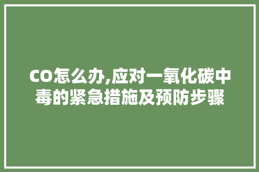 CO怎么办,应对一氧化碳中毒的紧急措施及预防步骤 GoogleSEO
