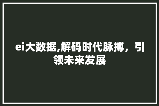 ei大数据,解码时代脉搏，引领未来发展 神马SEO