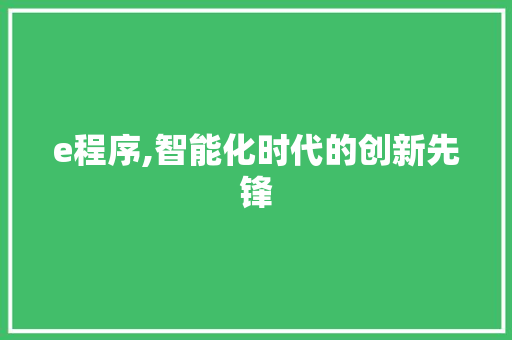 e程序,智能化时代的创新先锋 神马SEO