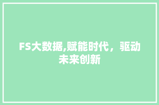 FS大数据,赋能时代，驱动未来创新 百度SEO