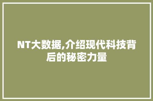 NT大数据,介绍现代科技背后的秘密力量 百度SEO