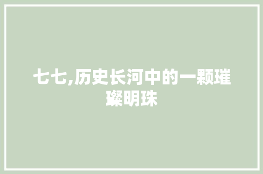 七七,历史长河中的一颗璀璨明珠 必应SEO