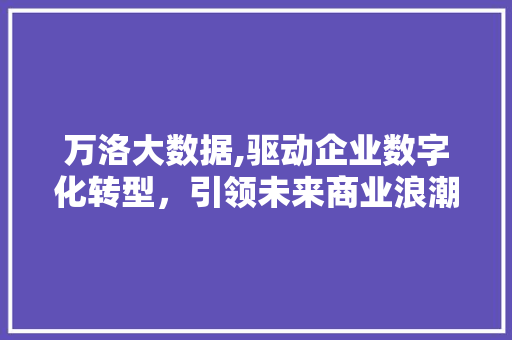 万洛大数据,驱动企业数字化转型，引领未来商业浪潮 神马SEO