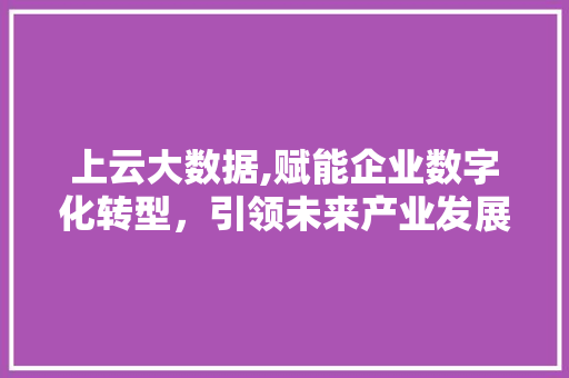 上云大数据,赋能企业数字化转型，引领未来产业发展 神马SEO