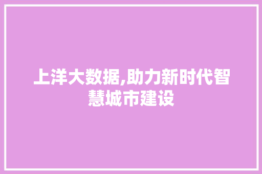 上洋大数据,助力新时代智慧城市建设 神马SEO