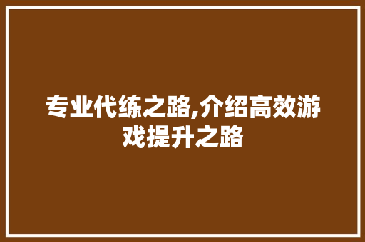 专业代练之路,介绍高效游戏提升之路 必应SEO
