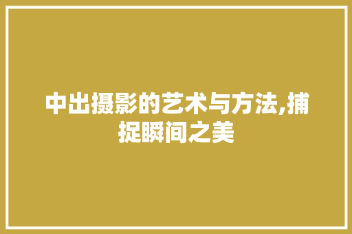 中出摄影的艺术与方法,捕捉瞬间之美 神马SEO
