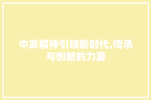 中发精神引领新时代,传承与创新的力量 神马SEO