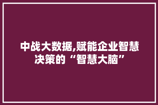 中战大数据,赋能企业智慧决策的“智慧大脑” 百度SEO