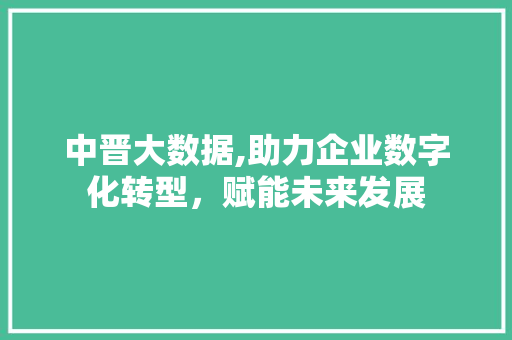 中晋大数据,助力企业数字化转型，赋能未来发展 GoogleSEO