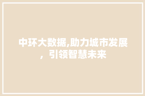 中环大数据,助力城市发展，引领智慧未来 神马SEO