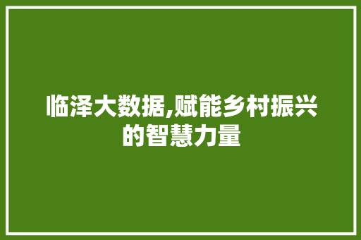 临泽大数据,赋能乡村振兴的智慧力量