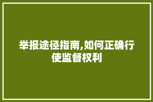 举报途径指南,如何正确行使监督权利 神马SEO
