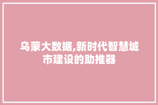 乌蒙大数据,新时代智慧城市建设的助推器 必应SEO