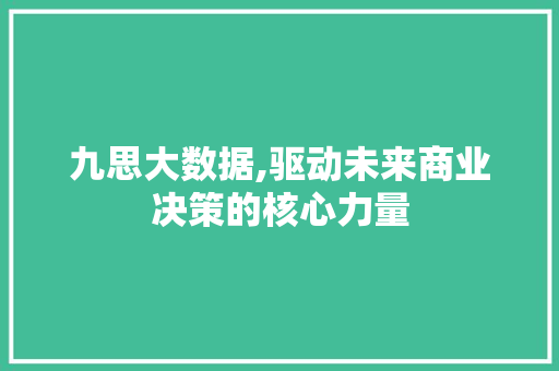 九思大数据,驱动未来商业决策的核心力量 神马SEO