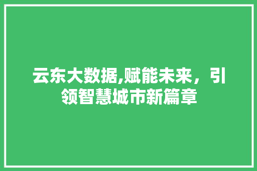 云东大数据,赋能未来，引领智慧城市新篇章 百度SEO