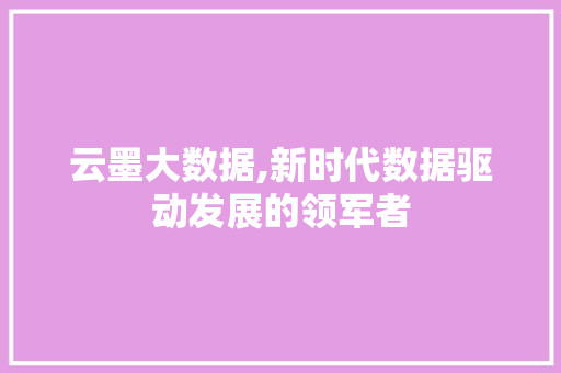 云墨大数据,新时代数据驱动发展的领军者 搜狗SEO