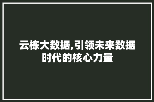 云栋大数据,引领未来数据时代的核心力量 必应SEO