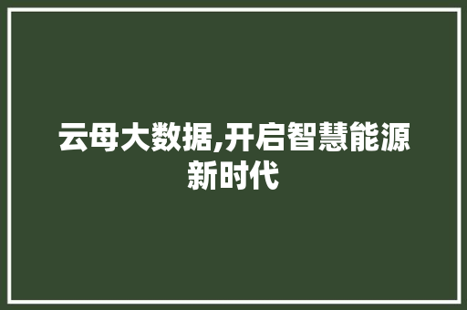 云母大数据,开启智慧能源新时代 百度SEO