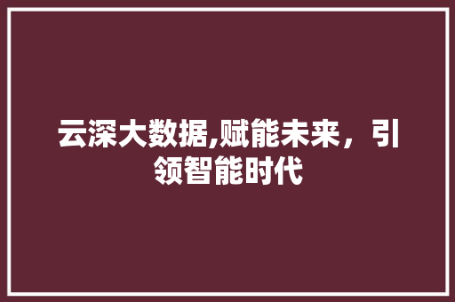 云深大数据,赋能未来，引领智能时代 神马SEO