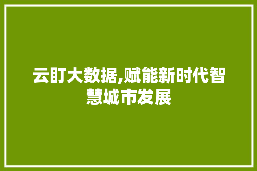 云盯大数据,赋能新时代智慧城市发展 神马SEO