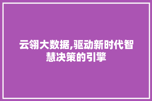 云翎大数据,驱动新时代智慧决策的引擎 搜狗SEO