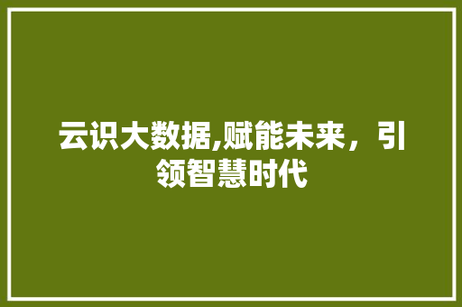 云识大数据,赋能未来，引领智慧时代 神马SEO