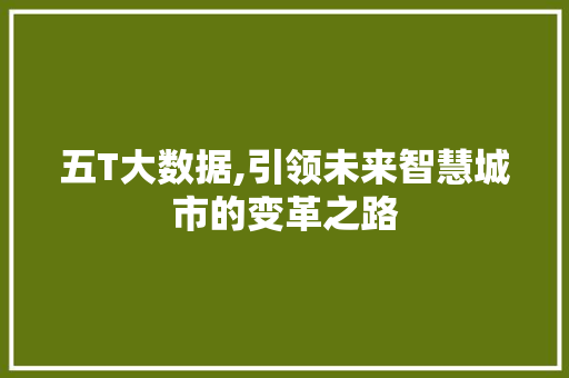 五T大数据,引领未来智慧城市的变革之路 百度SEO