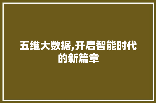 五维大数据,开启智能时代的新篇章 必应SEO
