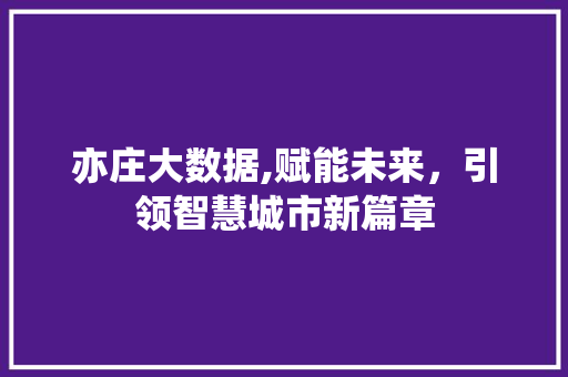 亦庄大数据,赋能未来，引领智慧城市新篇章 神马SEO
