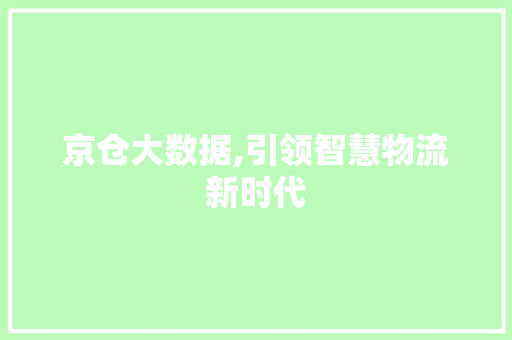 京仓大数据,引领智慧物流新时代 百度SEO