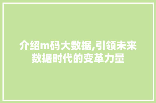 介绍m码大数据,引领未来数据时代的变革力量 GoogleSEO
