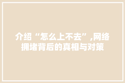 介绍“怎么上不去”,网络拥堵背后的真相与对策 神马SEO