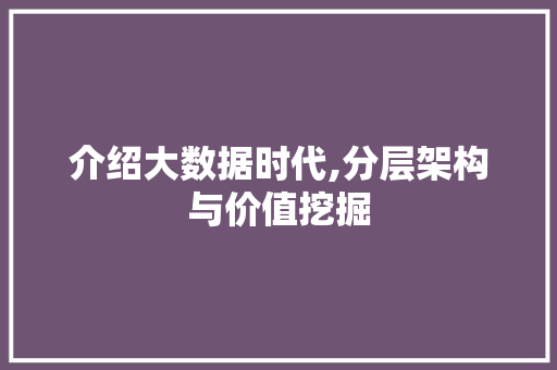 介绍大数据时代,分层架构与价值挖掘 必应SEO