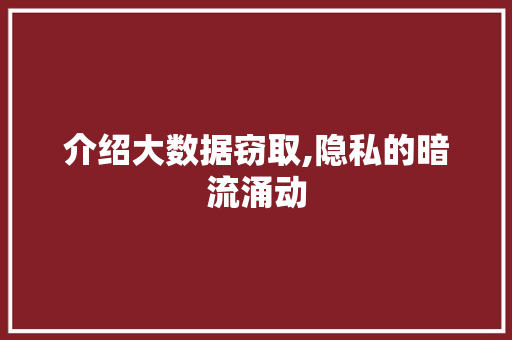 介绍大数据窃取,隐私的暗流涌动 百度SEO