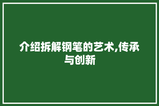 介绍拆解钢笔的艺术,传承与创新 GoogleSEO