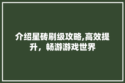 介绍星砖刷级攻略,高效提升，畅游游戏世界 搜狗SEO